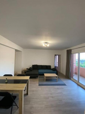 grand f2 climatisé avec wifi plein centre BORGO
